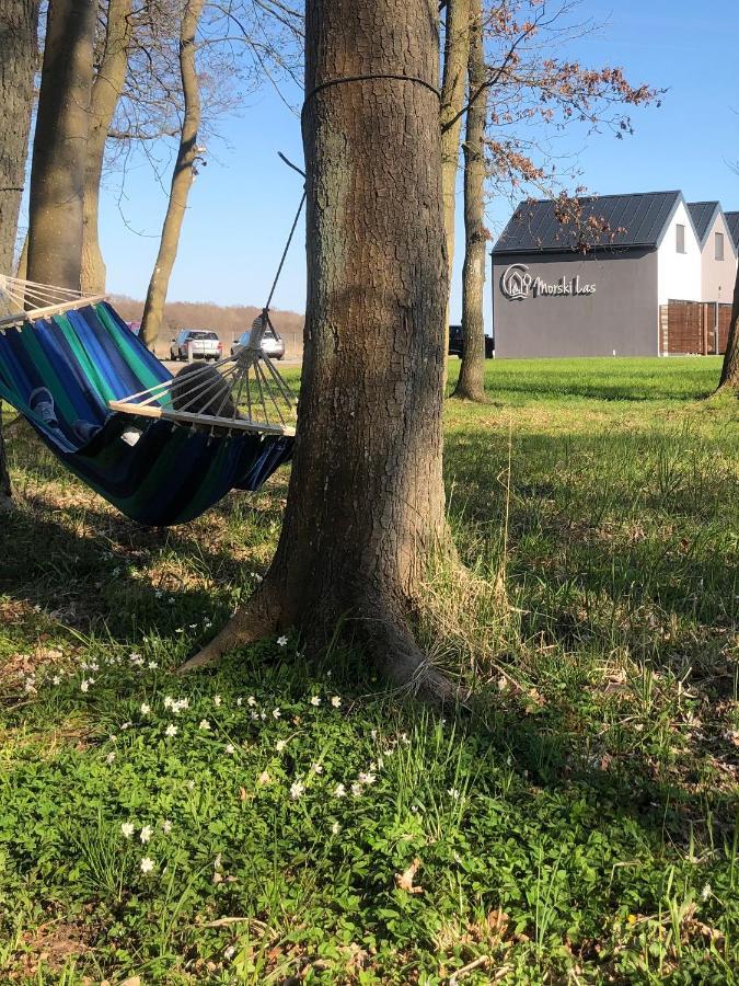 Apartment Morski Ustronie Morskie